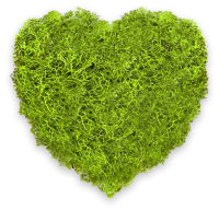 Moss art